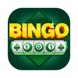 Bingo 101